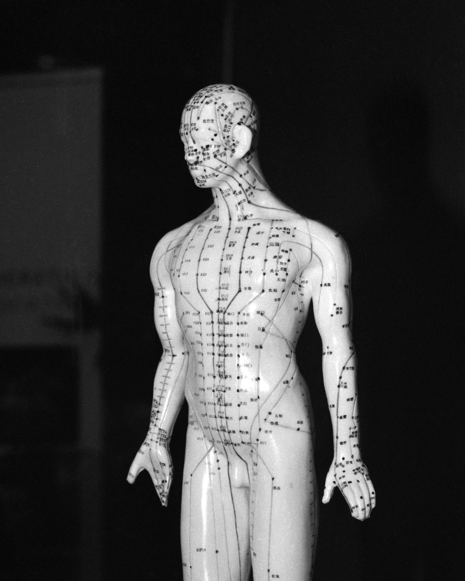 Mannequin d'acupuncture, noir et blanc